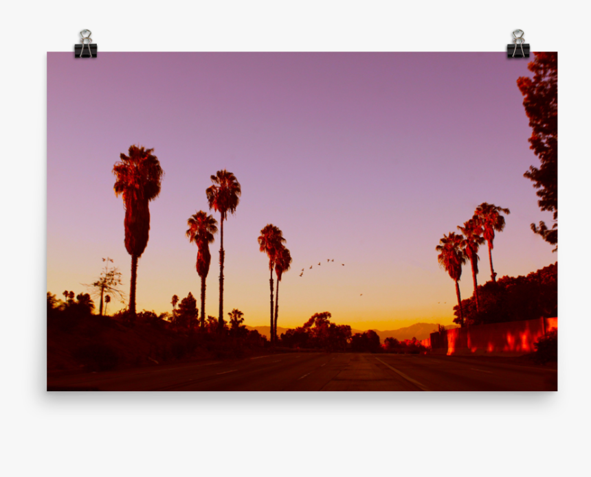 Lax-sunset Mockup Transparent Transparent - Desert Palm, HD Png Download