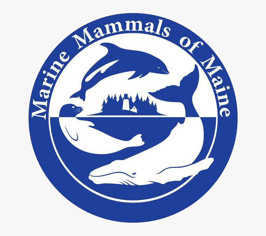 Marine Mammals Of Maine, HD Png Download