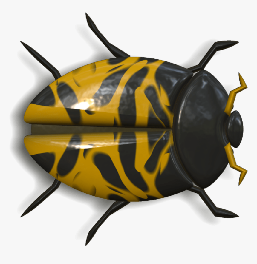 Ladybug Orange And Black Head To Right - Besouro Amarelo E Preto, HD Png Download