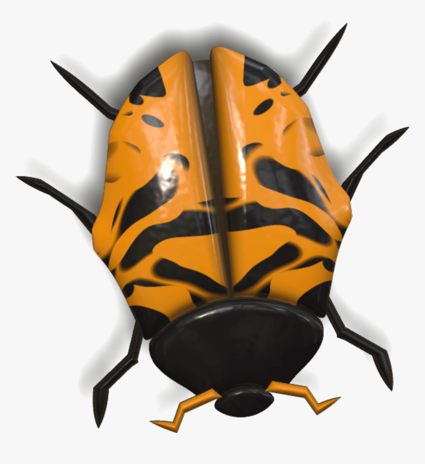Ladybug Yellow And Black Head Down - Ladybird Beetle, HD Png Download