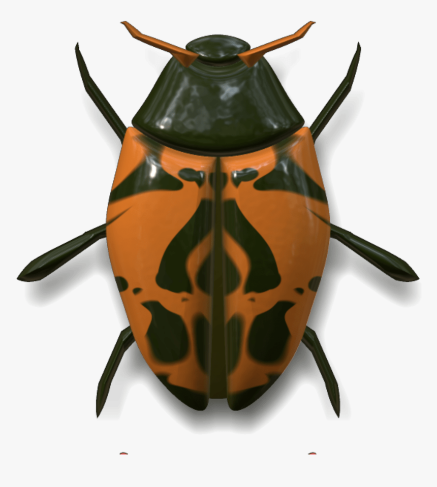 Ladybug Dark Green And Orange - Uğur Böceği Hayvani, HD Png Download