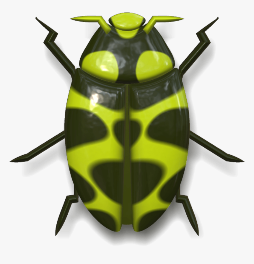 Ladybug Dark Green And Yellow - Mariquita Desde Arriba, HD Png Download