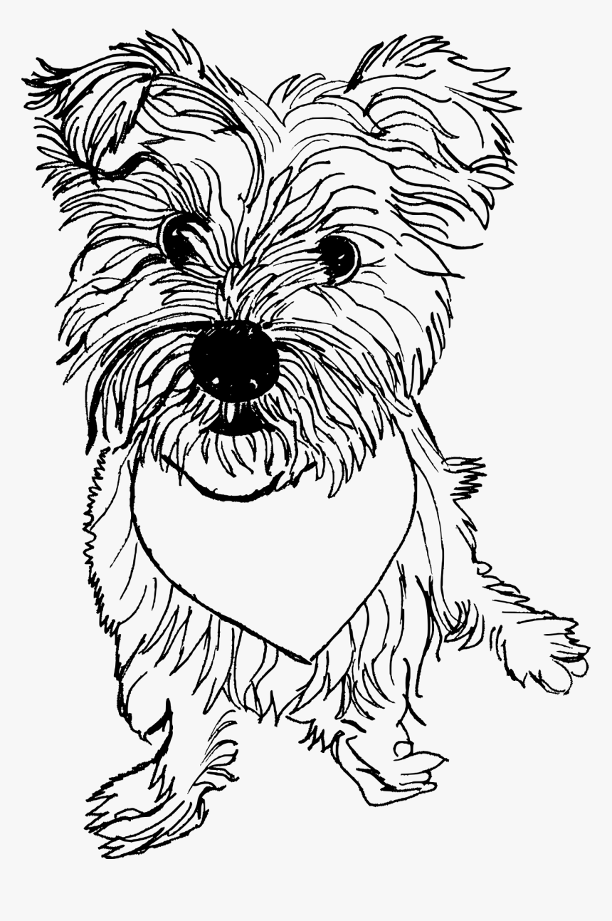 Sporting Lucas Terrier, HD Png Download