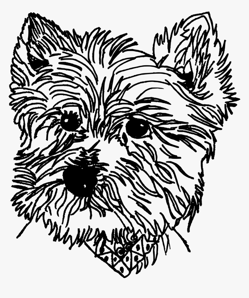 Australian Terrier, HD Png Download