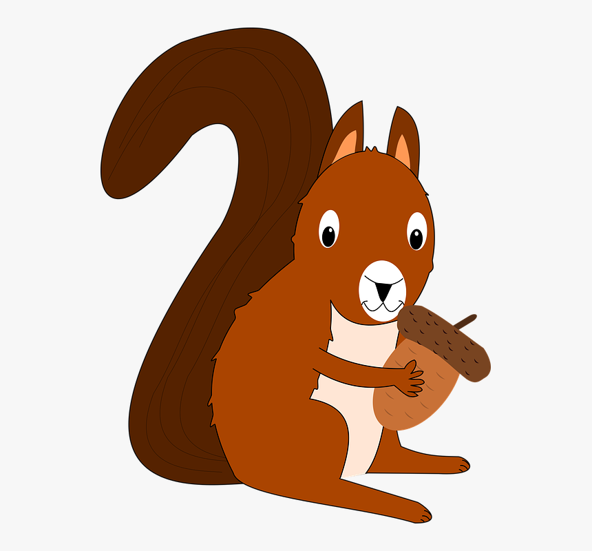 Clip Art Squirrel Image Portable Network Graphics Vector - การ์ตูน กระรอก Png, Transparent Png