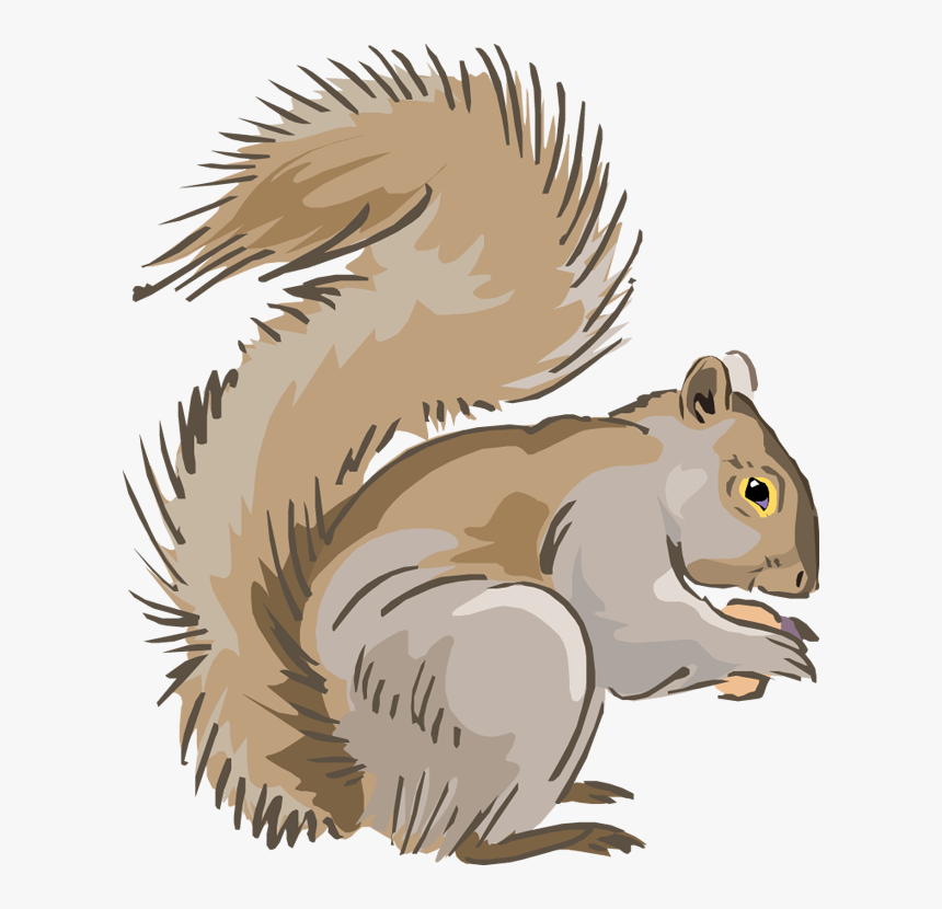Free Squirrel Clipart, HD Png Download