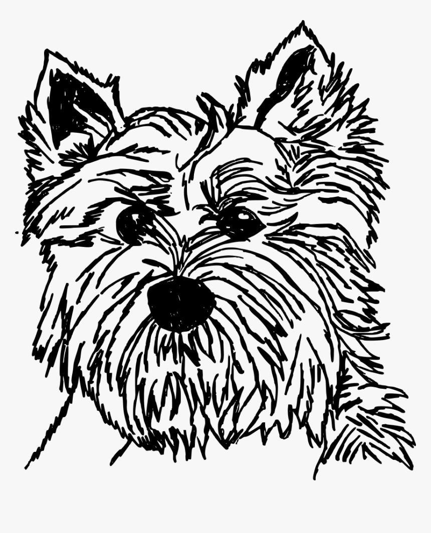 Australian Terrier, HD Png Download