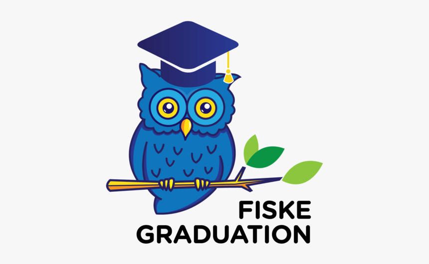 Owl, HD Png Download