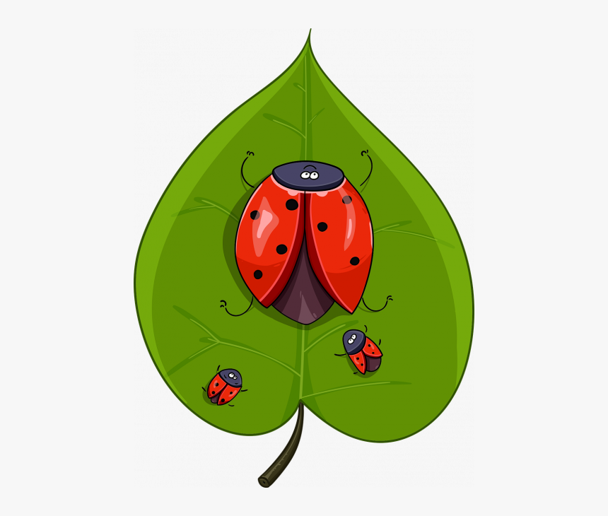 Ladybugs, Leaf - Ladybird Beetle, HD Png Download