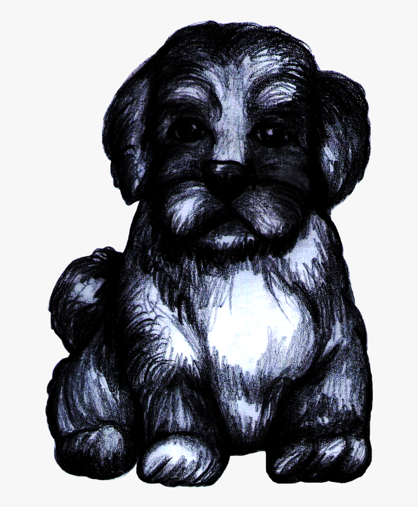 Schnoodle, HD Png Download