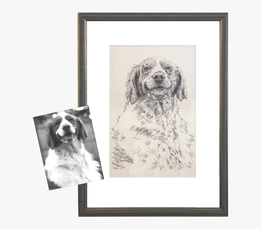 Picture Frame, HD Png Download