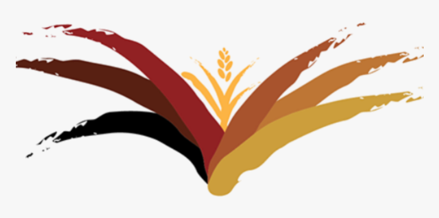 Cosecha Adobe Creative Cloud - Illustration, HD Png Download