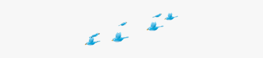 #crown #flowercrown #bird #birdcrown #cute #sweet #tumblr - Aesthetic Transparent Overlay Png, Png Download