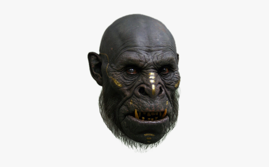 Jordu Schell Ape, HD Png Download