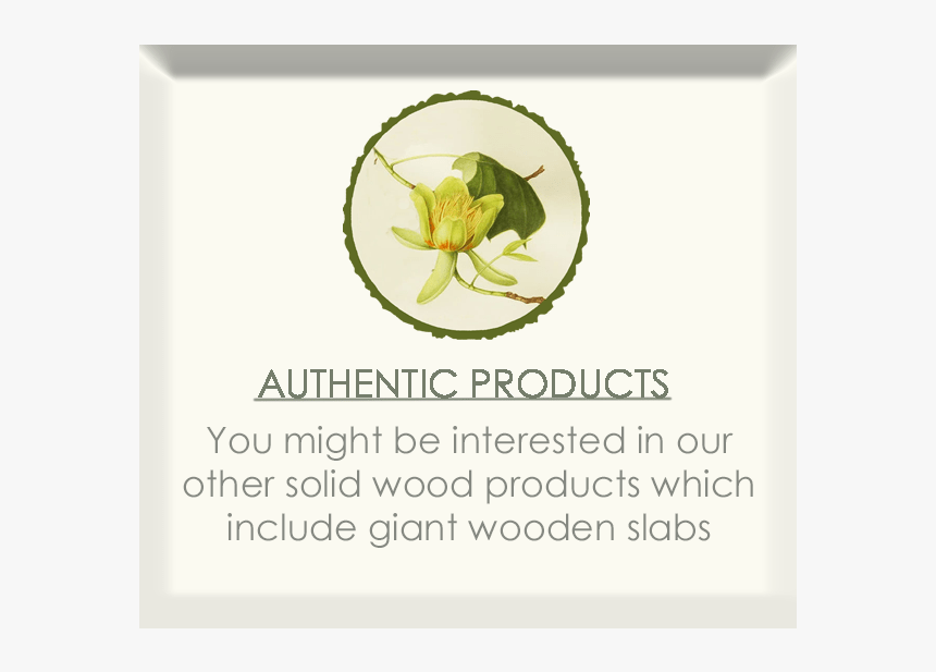 Bark House, HD Png Download