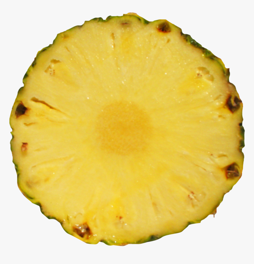 Pineapple Slice Png Image - Pineapple Slices Png, Transparent Png