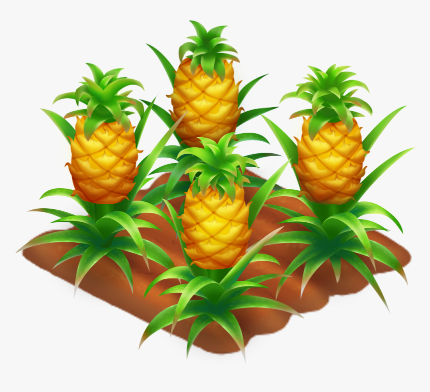 Hay Day Wiki - Pineapple, HD Png Download