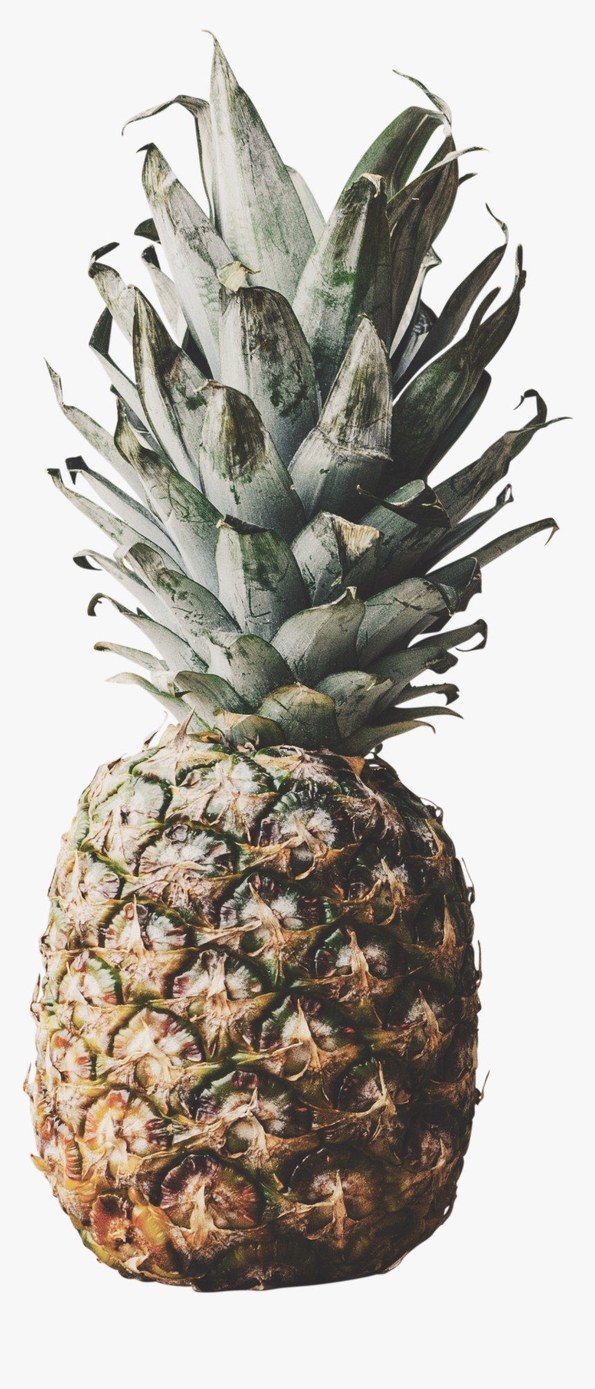 Pineapple, HD Png Download