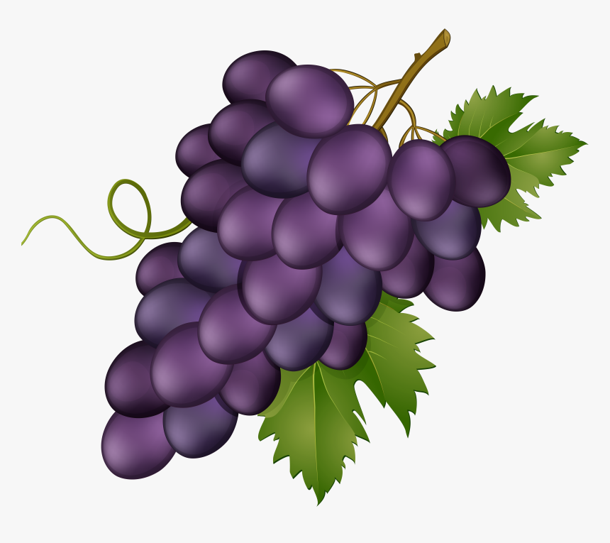 Clip Art Grape Pink Transparent Clip, HD Png Download