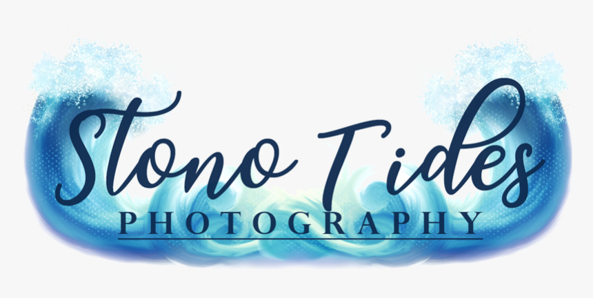 Stono Tides Logo - Calligraphy, HD Png Download