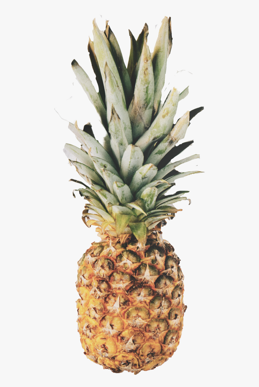 Pineapple Png Image - Pineapple Wallpaper Quotes, Transparent Png
