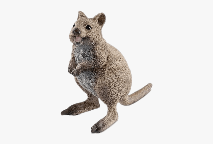 Quokka Figurine - Schleich Rat, HD Png Download