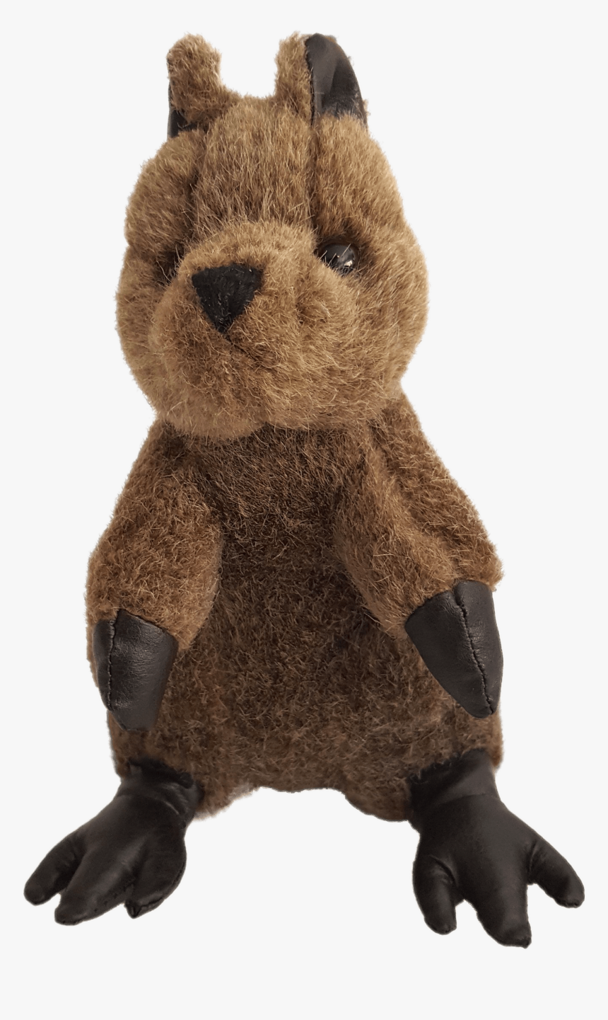 Quokka Plush Animal, HD Png Download