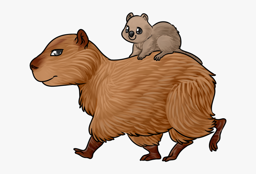 Transparent Quokka Png - Capybara Easy To Draw, Png Download
