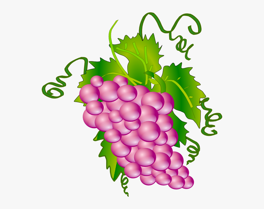 Grapes Clipart Svg - Get Well Soon Card In Japanese, HD Png Download