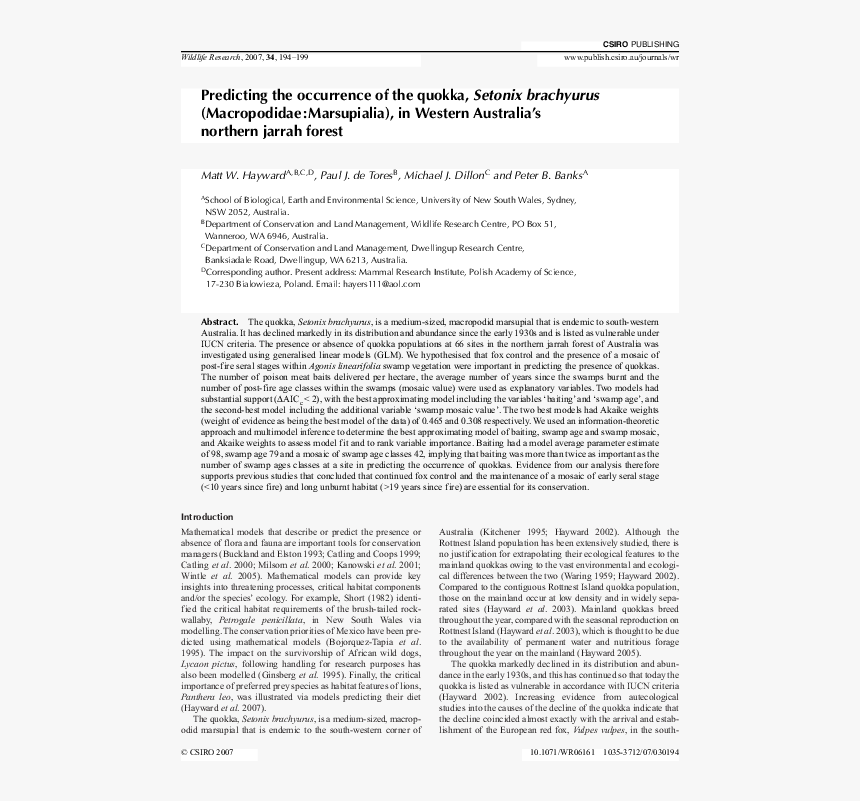 "enlightenment Is Mythic Fear Turned Radical (becoming, HD Png Download