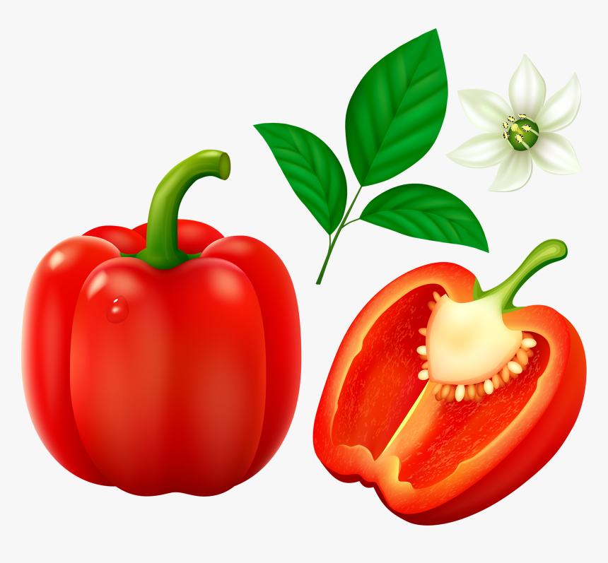 Green Bell Pepper Clipart, HD Png Download