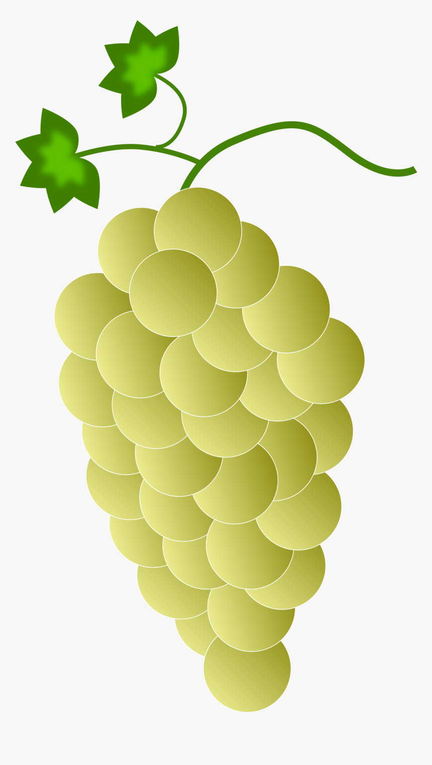 Clipart Yellow Grapes - Purple Grapes, HD Png Download