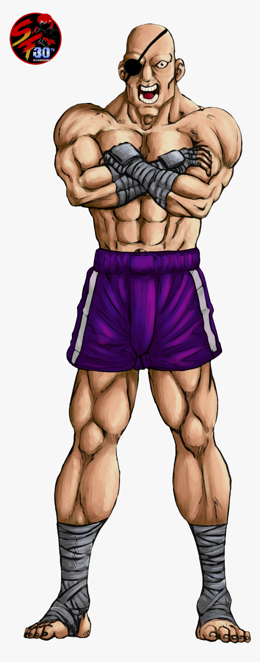 Sagat Street Fighter, HD Png Download