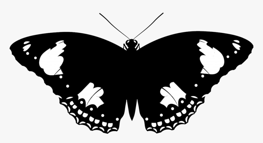 Animal Silhouette, Silhouette Clip Art Butterfly - Black Silhouettes Of Animals, HD Png Download