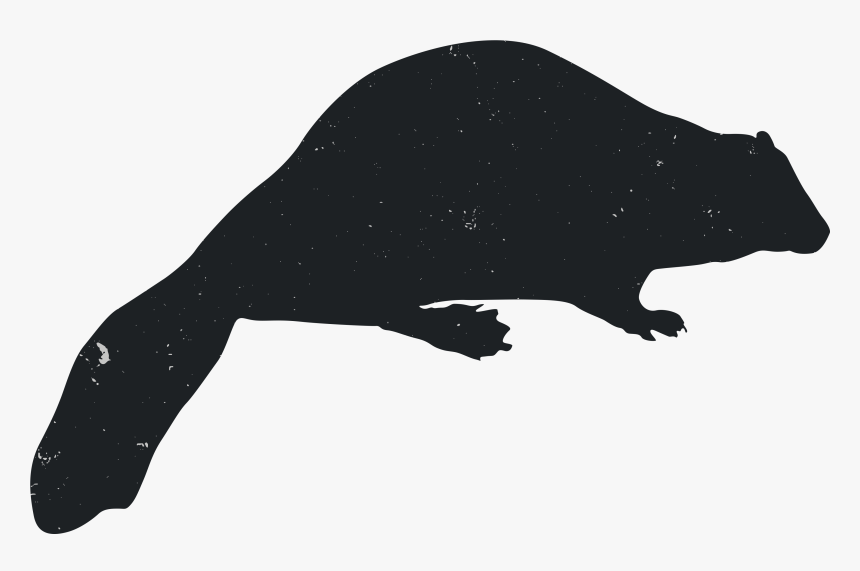 Silhouette Rat Animal Carnivora Black - Rat, HD Png Download