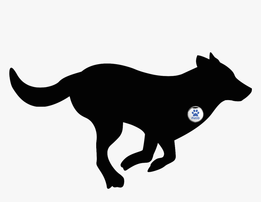 Whippet Puppy Silhouette Running - Dog Running Clipart, HD Png Download