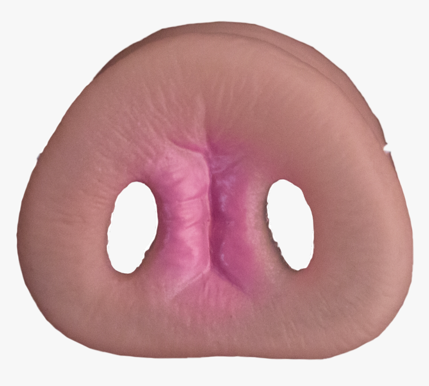 #pignose #pig #snout #nose #freetoedit - Pillow, HD Png Download