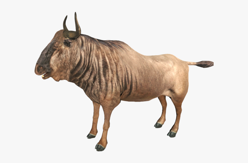 Blue Wildebeest, HD Png Download