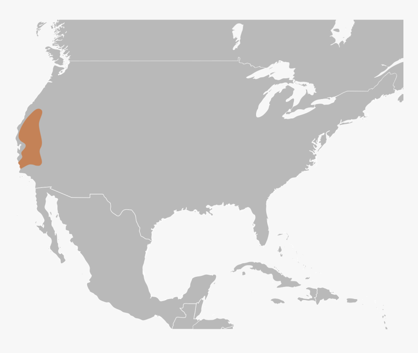 Colombia A Irlanda, HD Png Download