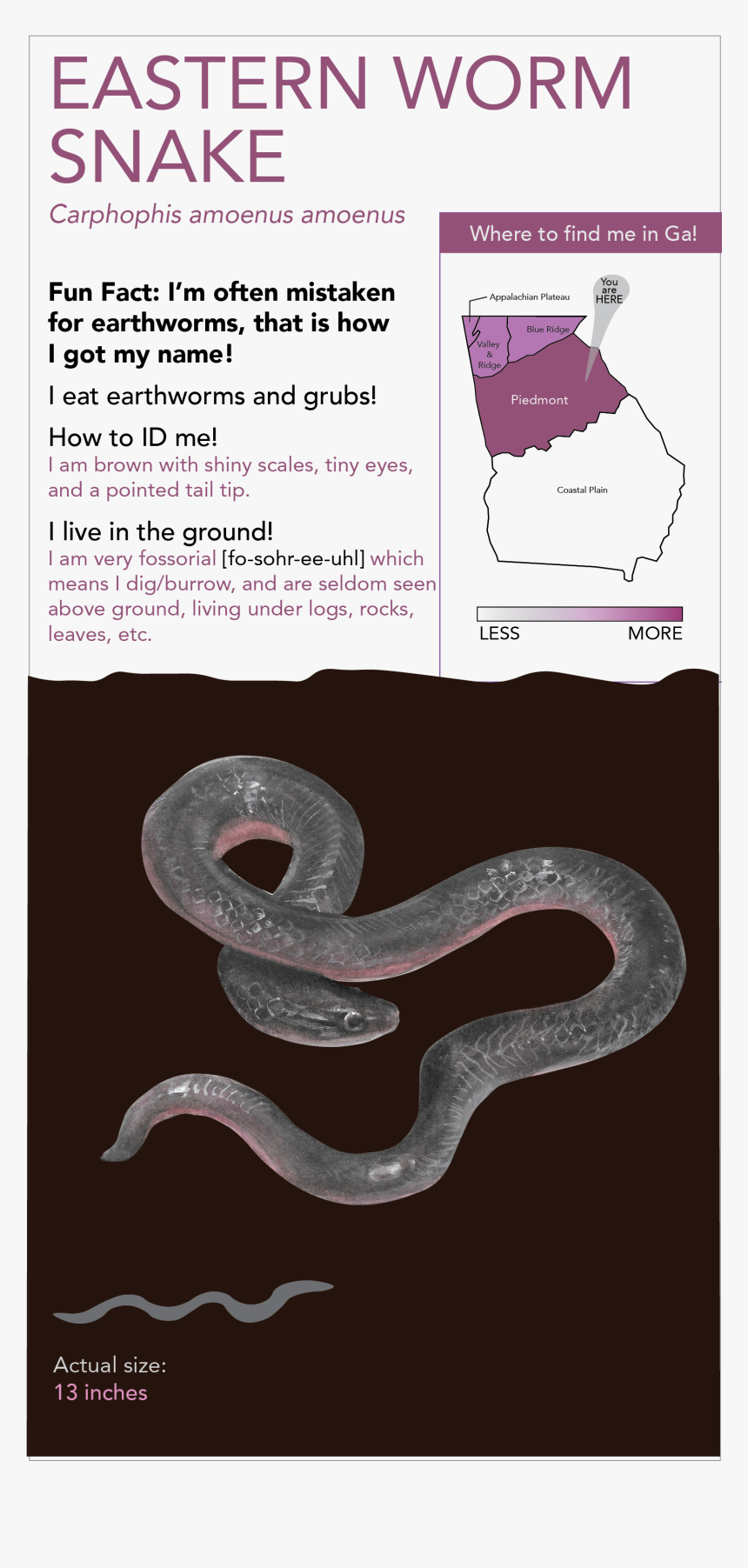 This Project Includes - Paper, HD Png Download