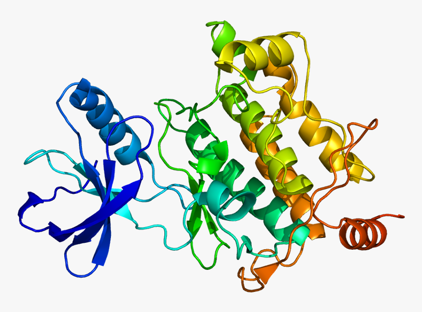 Protein Map3k7 Pdb 2eva, HD Png Download