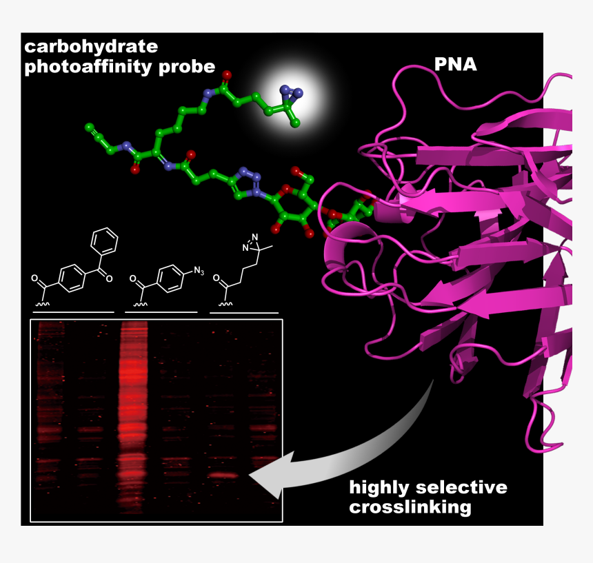 Graphic Design, HD Png Download