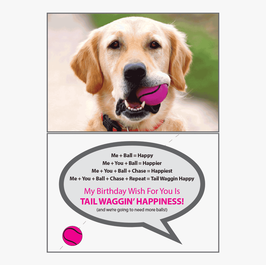 Tennis Ball 
 Class - Train A Local Dog, HD Png Download