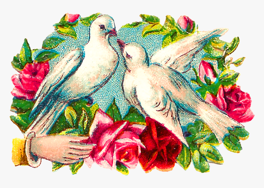 The Colorful Romantic Clipart Images Of Pairs Of Doves - Clip Art, HD Png Download
