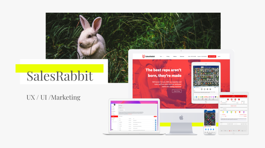 Desktop 4 - Domestic Rabbit, HD Png Download