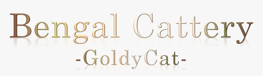 / - Calligraphy, HD Png Download