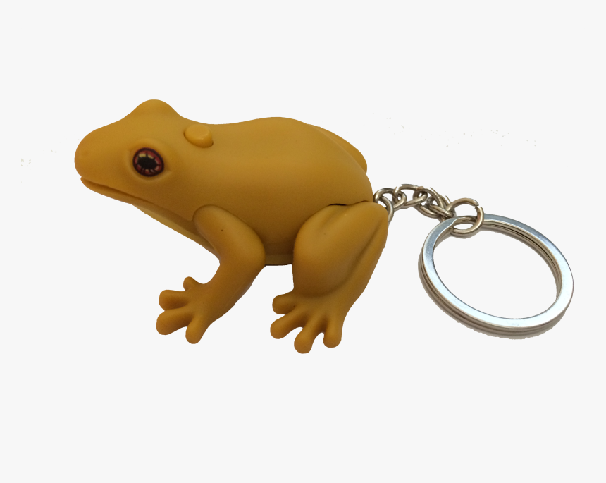 Frog Keychain Puerto Rico, HD Png Download