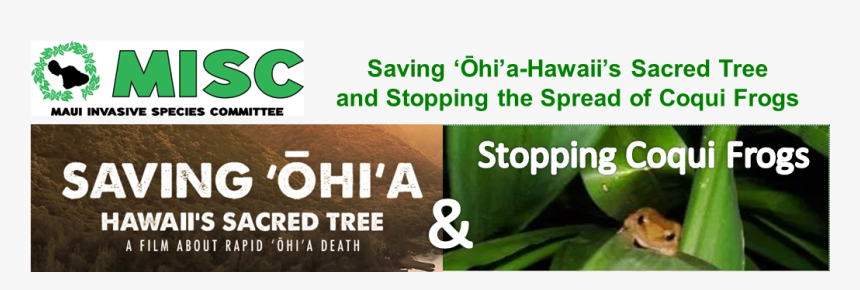 Shopping Cart Hero 2, HD Png Download