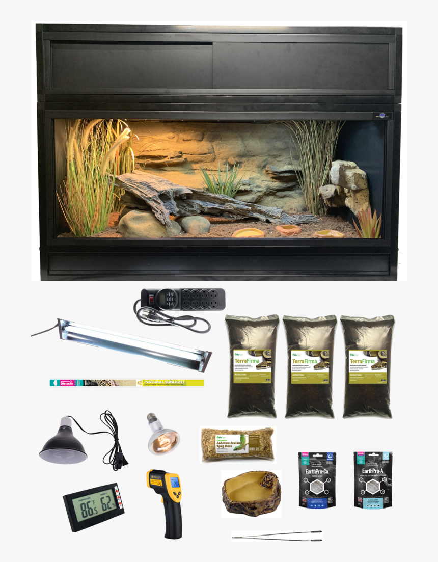 Reptile, HD Png Download