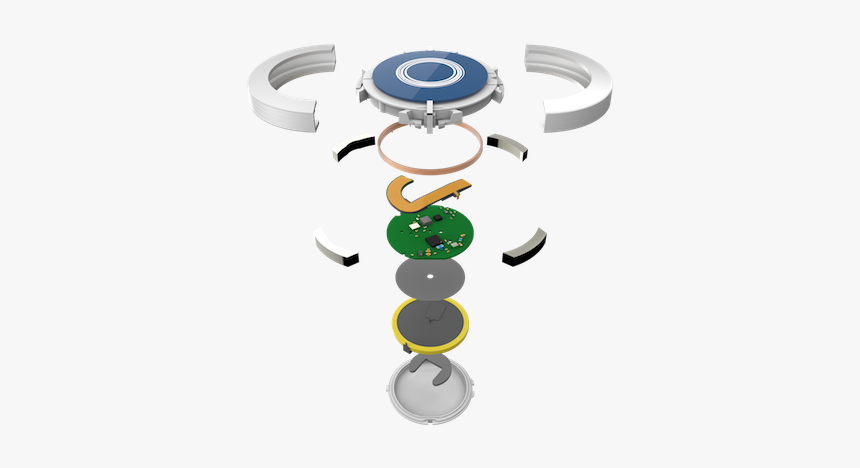 princess cruise medallion holder